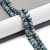 Natural Sesame Jasper Beads Strands G-K380-A18-01-2