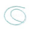 Natural Freshwater Shell Dyed Beads Strands SHEL-M018-12-06-2