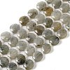 Natural Labradorite Bead Strands G-C116-A10-01-1