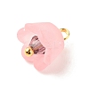 Transparent Acrylic Charms PALLOY-JF01603-02-4