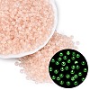 FGB Grade A Transparent Glass Seed Beads SEED-Q040-03A-09-1