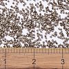 MIYUKI Delica Beads SEED-JP0008-DB1843-4