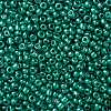 8/0 Glass Seed Beads X-SEED-A017-3mm-1118-2