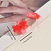 Resin Stud Earrings for Women WV5243-2