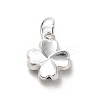 925 Sterling Silver Pendants STER-P057-03S-1