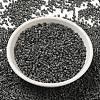 Baking Paint Glass Seed Beads X-SEED-S042-05B-42-2