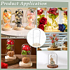 30Pcs Arch Glass Dome Cover AJEW-BC0008-85C-5