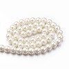 Eco-Friendly Dyed Glass Pearl Round Beads Strands HY-A008-8mm-RB011-3