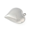 304 Stainless Steel Pendants STAS-S186-06B-P-2