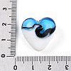 Handmade Lampwork Beads LAMP-N024-41C-3