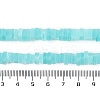 Handmade Lampwork Beads Strands LAMP-Q037-02B-09-4