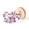 Natural Amethyst Chips with Brass Wrapped Wire Money Tree on Wood Base Display Decorations DJEW-B007-05B-2