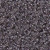 MIYUKI Round Rocailles Beads X-SEED-G007-RR2195-3