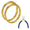 DIY Wire Wrapped Jewelry Kits DIY-BC0011-81A-04-1