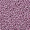 6/0 Glass Seed Beads X1-SEED-L011-08A-29-3