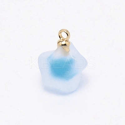 Resin Frosted Pendants MP-TAC0009-03I-1