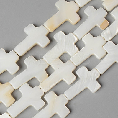 Natural Freshwater Shell Beads Strands X-SHEL-N026-74-1