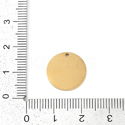 304 Stainless Steel Charms STAS-I325-133G-1