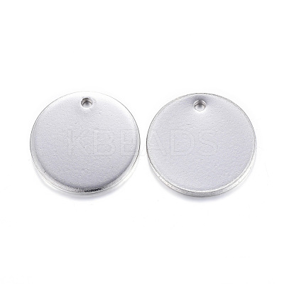 Tarnish Resistant 304 Stainless Steel Charms STAS-G122-23P-1