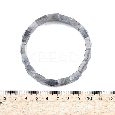 Natural Labradorite Beads Stretch Bracelets for Women Men BJEW-C097-06Y-1