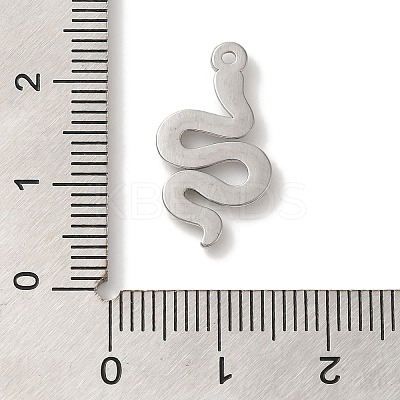 304 Stainless Steel Pendants STAS-C110-06P-1