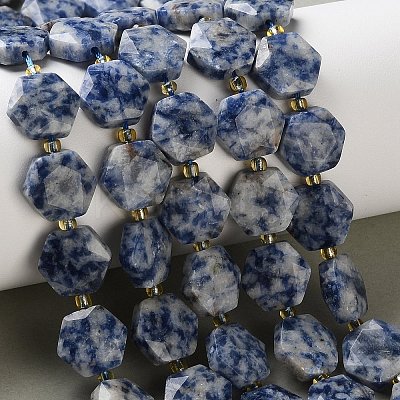 Natural Blue Spot Jasper Beads Strands G-H344-B02-01-1