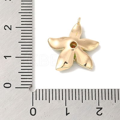 Brass Enamel Pendants KK-S368-13G-02-1