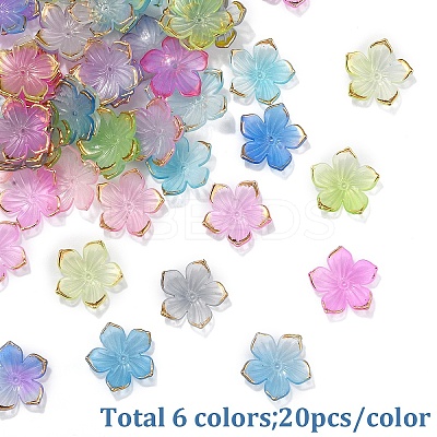 120Pcs 6 Colors Transparent Acrylic Bead Caps TACR-YW0002-44-1
