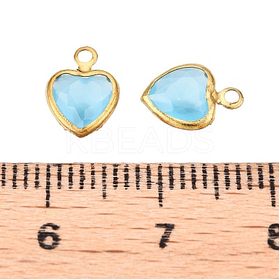 K9 Glass Charms GLAA-T023-11D-1