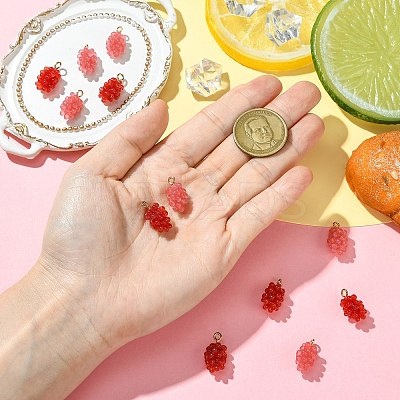12Pcs 2 Colors Resin Pendants RESI-CJ0004-71-1
