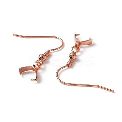 304 Stainless Steel Earring Hooks LS-X-STAS-WH0035-14RG-1