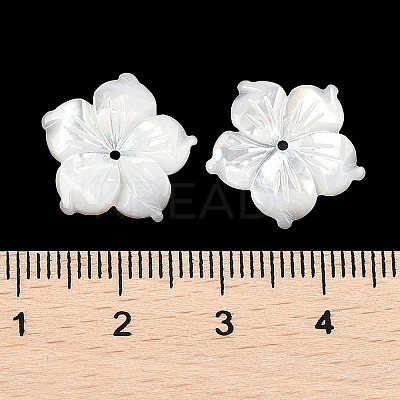 Natural White Shell Carved Beads SSHEL-I026-12E-06-1