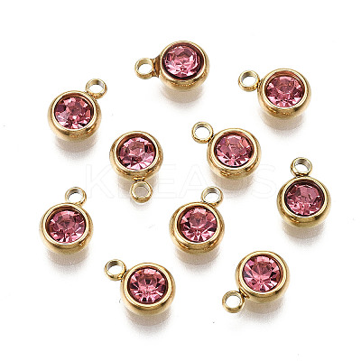 PVD Vacuum Plating 201 Stainless Steel Rhinestone Charms LS-X-STAS-S068-10G-1
