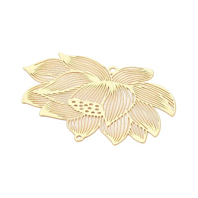 Iron Connector Charms IFIN-N013-02G-1