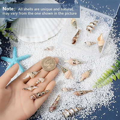20Pcs 5 Styles Electroplate Shell Shapes Pendants SHEL-SC0001-58-1