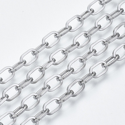 Tarnish Resistant 304 Stainless Steel Paperclip Chains CHS-S001-05A-P-1