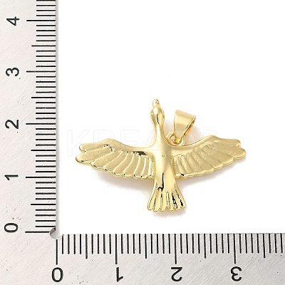 Rack Plating Brass Micro Pave Clear Cubic Zirconia Pendants KK-C047-20B-G-1