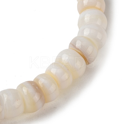 Rondelle Natural Freshwater Shell Beaded Stretch Bracelets for Women BJEW-JB10911-1