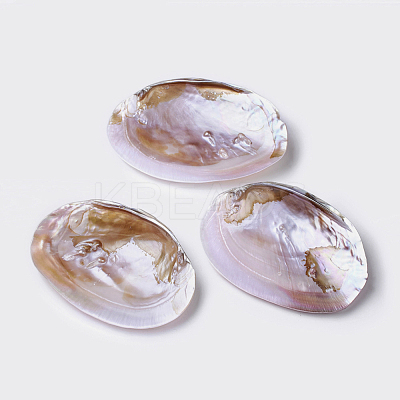 Natural Freshwater Pearl Shell Decoration SHEL-K002-01A-1