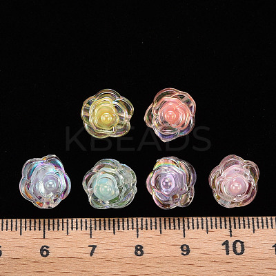 Transparent Acrylic Beads X-TACR-T024-06B-1