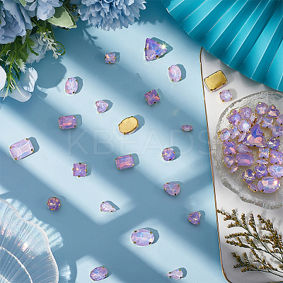 Glass Steel Claw Sew on Rhinestone FIND-WH20040-07G-05-1