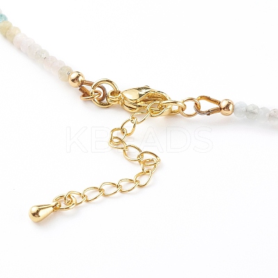 Rondelle Natural Morganite Beaded Necklaces NJEW-JN03404-01-1