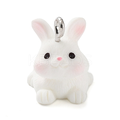 Opaque Resin Pendants RESI-Z014-01I-1