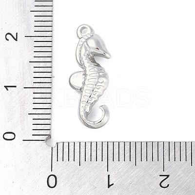 Non-Tarnish 304 Stainless Steel Pendants STAS-L080-006P-1