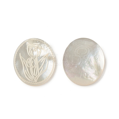 Natural Sea Shell Cabochons SSHEL-T012-14-1