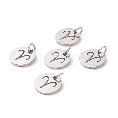 Non-Tarnish 304 Stainless Steel Charms STAS-Q201-T445-1S-1