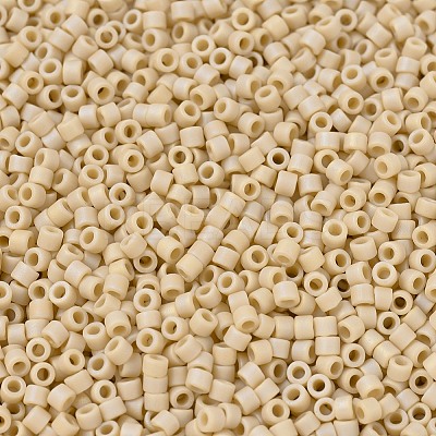 MIYUKI Delica Beads X-SEED-J020-DB1591-1