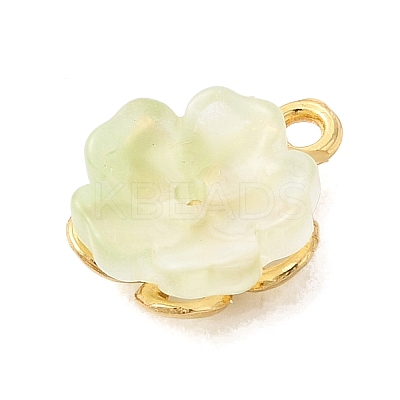 Alloy Glass Charms FIND-C079-05G-02-1