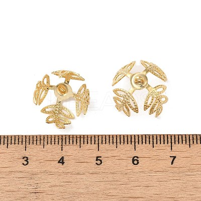 Brass Bead Caps KK-P259-03B-G-1