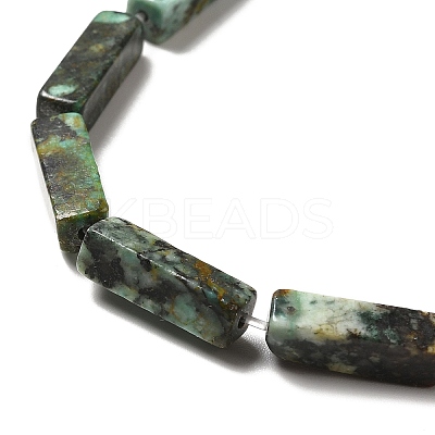 Natural African Turquoise(Jasper) Beads Strands G-F729-01-1